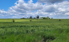 450 ha. sobre Ruta Prov. N°38
